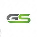 GS IT company icon