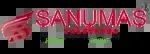 Sanumas Solutions company icon