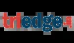 Triedge Solutions company icon