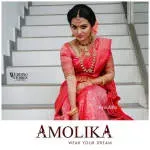 Amolika company icon