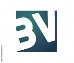 BV company icon