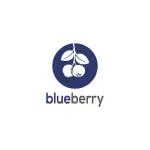 Blueberry’s India company icon