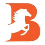 Brandmaker333 Media Solutions company icon