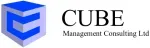 C Cube Consultant company icon