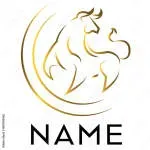 Fin Bulls company icon