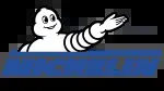 Michelin company icon
