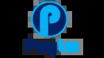 Paytm company icon