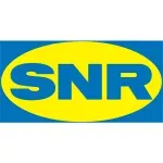 SNR PANDIAN INDUSTRIES company icon