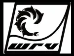 WRV JEWELLERS LIMITED company icon