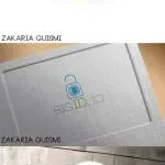 SCILDAN SECURITY SERVICES company icon