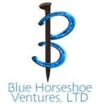 BluHorse Fitventures Private Limited company icon