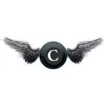 Cyber Kings India company icon