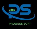 Prowess Software Services Pvt Ltd company icon
