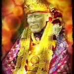 Sai Ortho Care Hospital company icon