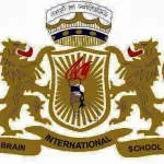 Brain International School company icon