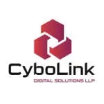 Cybolink Digital Solutions LLP company icon