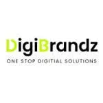 Digibrandz IT Solutions company icon