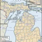 Mi Young Korean Aesthetics company icon