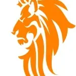 Elyongames LTD company icon