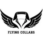 Flying Collars Solutions company icon