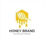 Homey company icon