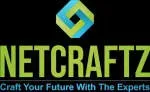 Netcraftz company icon