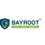 BAYROOT INTERNATIONAL LLP company icon