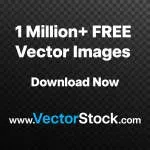 YM Law Firm company icon